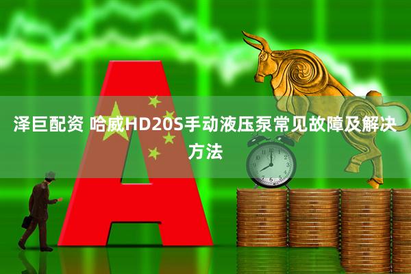 泽巨配资 哈威HD20S手动液压泵常见故障及解决方法