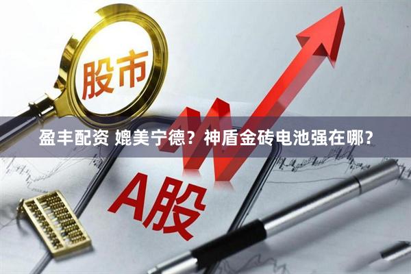 盈丰配资 媲美宁德？神盾金砖电池强在哪？