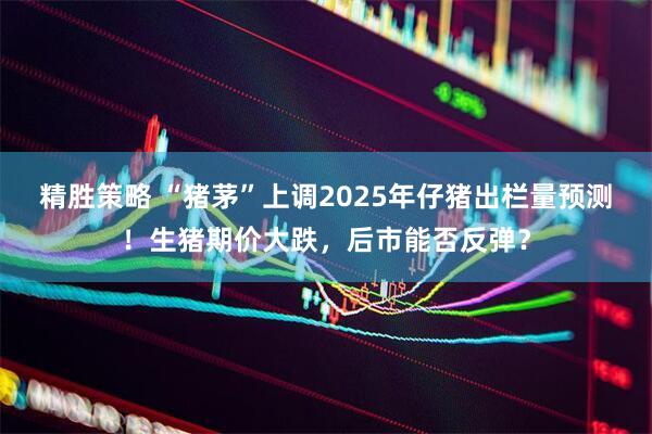 精胜策略 “猪茅”上调2025年仔猪出栏量预测！生猪期价大跌，后市能否反弹？