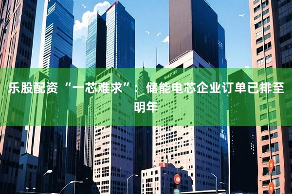 乐股配资 “一芯难求”：储能电芯企业订单已排至明年