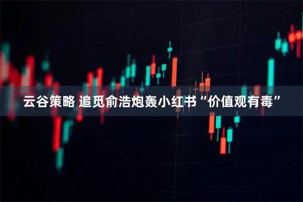 云谷策略 追觅俞浩炮轰小红书“价值观有毒”